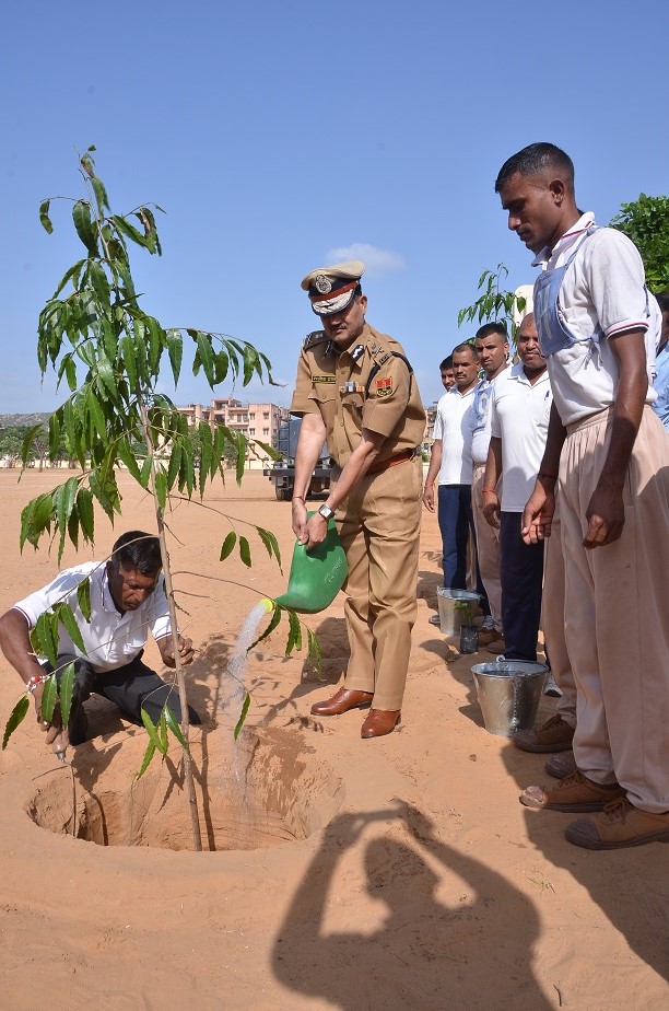 Plantation on 14 August 2017  at RPA