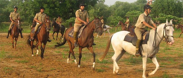 risala risala