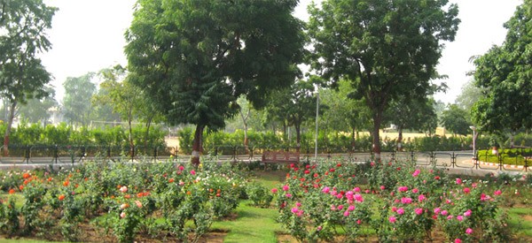rose-garden-4 rose-garden-4