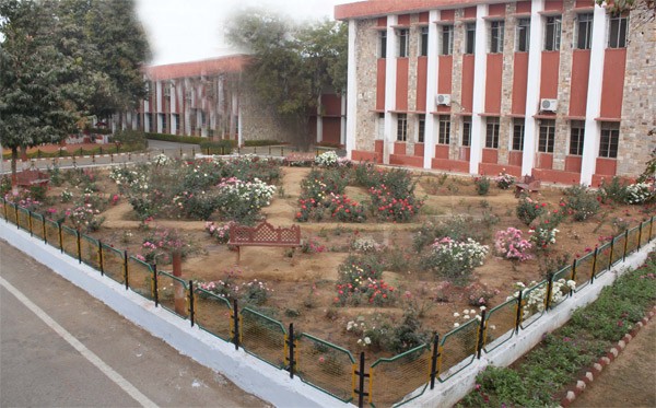 rose-garden-2 rose-garden-2
